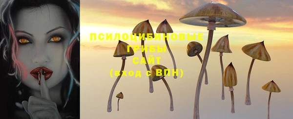 таблы Белокуриха