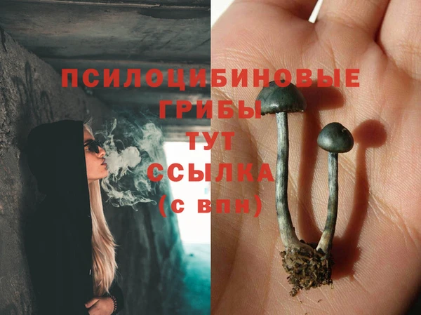 таблы Белокуриха