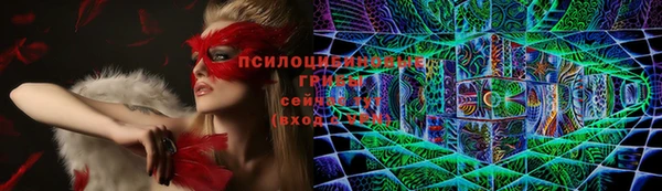 таблы Белокуриха