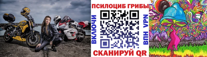 Галлюциногенные грибы GOLDEN TEACHER  магазин продажи наркотиков  Малоярославец 